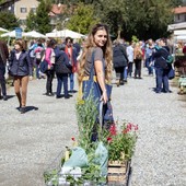 Al Castello di Masino, torna la "Tre Giorni per il Giardino"