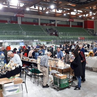 (Foto di repertorio)