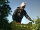 CinemAmbiente e Give peace a screen presentano The Pickers: un viaggio tra i lavoratori della frutta