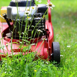 A Frossasco si cercano volontari dalla cura verde all’aiuto fuori dalle scuole