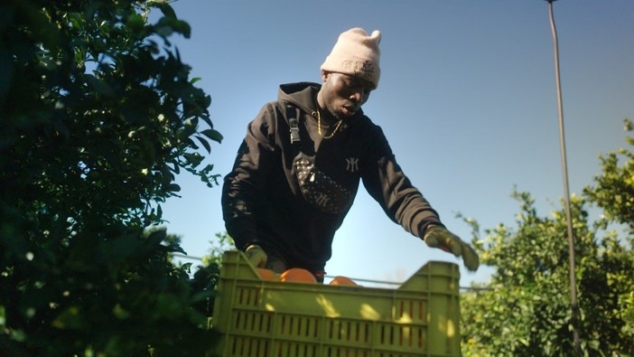CinemAmbiente e Give peace a screen presentano The Pickers: un viaggio tra i lavoratori della frutta