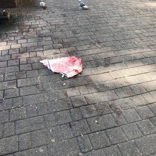 Sangue per terra ai giardinetti