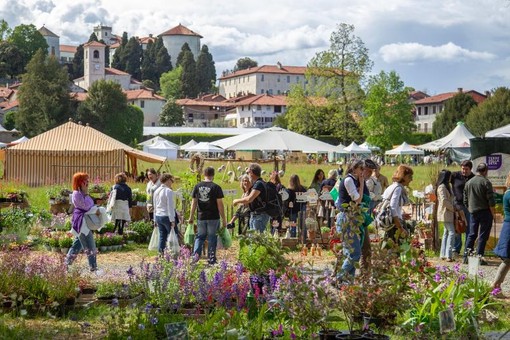 Tre giorni per il Giardino: al Castello di Masino,  quattro giorni di fiera florovivaistica