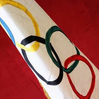 Torino coltiva ancora la sua speranza olimpica