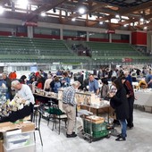 (Foto di repertorio) (Foto di repertorio)