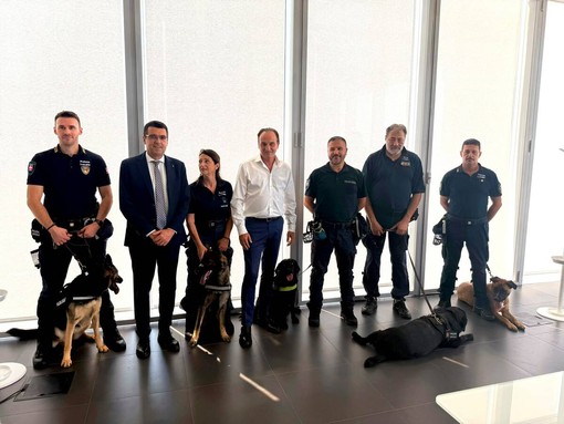 Da Nike a Heidi, le unità cinofile della Polizia locale uniscono il Piemonte: al via la rete regionale Da Nike a Heidi, le unità cinofile della Polizia locale uniscono il Piemonte: al via la rete regionale
