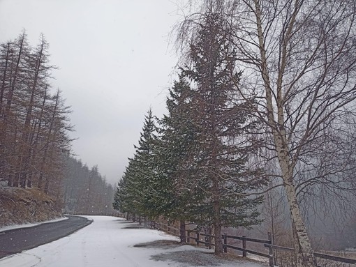 La neve torna a scendere nelle vallate del Pinerolese [VIDEO]