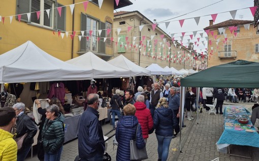 Dalla matita di Giugiaro alla sella: Vigone si prepara a tre giorni di festa con Mais e Cavalli Dalla matita di Giugiaro alla sella: Vigone si prepara a tre giorni di festa con Mais e Cavalli