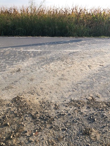 Il fango in strada, sulla Provinciale tra Vigone e Buriasco