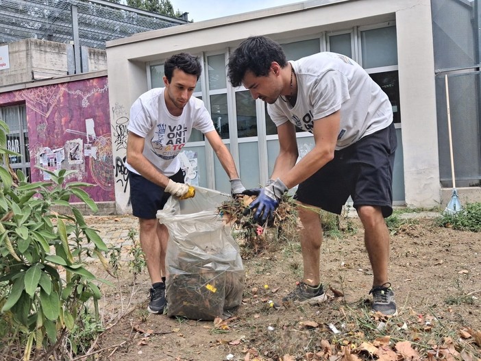 Viale Mai in fiore: volontari aprono la strada a un nuovo spazio verde