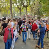 (Foto di repertorio)