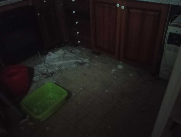 Si allaga l'alloggio popolare, intervengono i vigili del fuoco Si allaga l'alloggio popolare, intervengono i vigili del fuoco