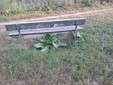 Le panchine ammalorate Le panchine ammalorate
