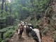 La salita agli alpeggi dell'Alta Val Pellice sulla via dei pastori