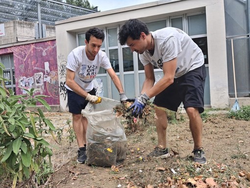 Viale Mai in fiore: volontari aprono la strada a un nuovo spazio verde
