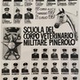 Da un incontro casuale a un raduno nazionale: a Pinerolo si ritrovano gli Allievi Ufficiali Veterinari dell’88° corso
