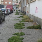 I marciapiedi di via Lorenzini prima della pulizia I marciapiedi di via Lorenzini prima della pulizia