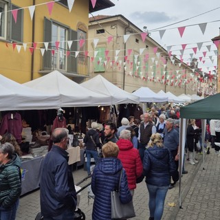Dalla matita di Giugiaro alla sella: Vigone si prepara a tre giorni di festa con Mais e Cavalli Dalla matita di Giugiaro alla sella: Vigone si prepara a tre giorni di festa con Mais e Cavalli