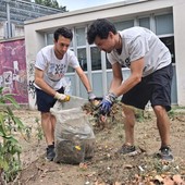 Viale Mai in fiore: volontari aprono la strada a un nuovo spazio verde