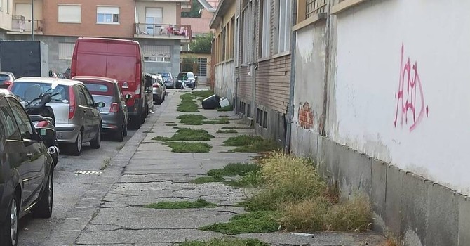 I marciapiedi di via Lorenzini prima della pulizia I marciapiedi di via Lorenzini prima della pulizia