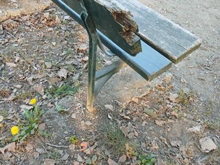 Le panchine ammalorate Le panchine ammalorate