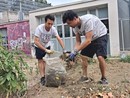 Viale Mai in fiore: volontari aprono la strada a un nuovo spazio verde Viale Mai in fiore: volontari aprono la strada a un nuovo spazio verde