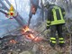 Vigili del Fuoco in azione per spegnere incendi boschivi in Val di Susa