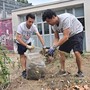 Viale Mai in fiore: volontari aprono la strada a un nuovo spazio verde