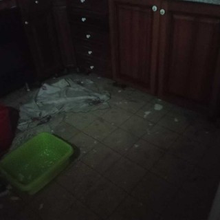 Si allaga l'alloggio popolare, intervengono i vigili del fuoco Si allaga l'alloggio popolare, intervengono i vigili del fuoco