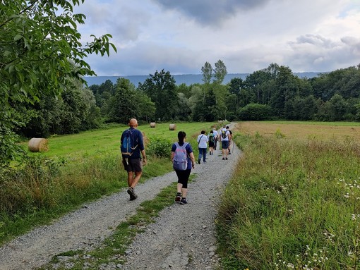 Inclusione sulla via Francigena: ad Ivrea al via il ciclo di eventi HIKE4ALL