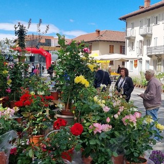 (Foto di repertorio)