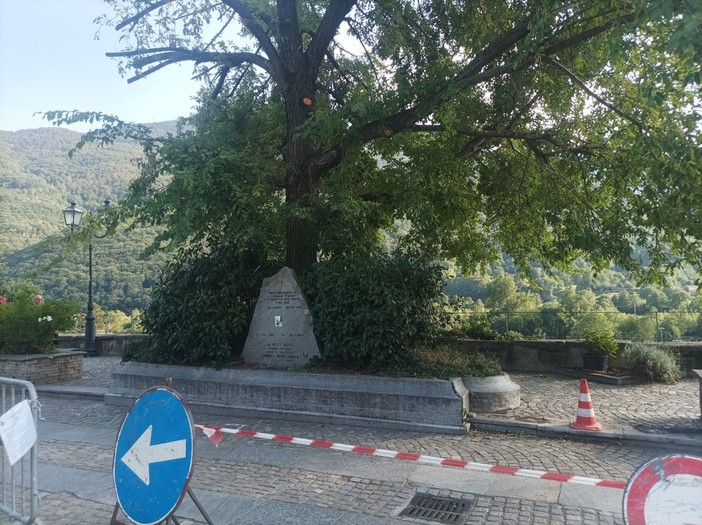 Villar Pellice: il destino dell’olmo di piazza Jervis è appeso a una crepa Villar Pellice: il destino dell’olmo di piazza Jervis è appeso a una crepa