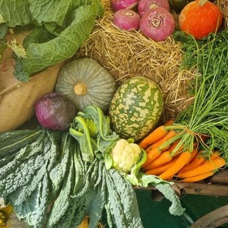 In foto un paniere autunnale