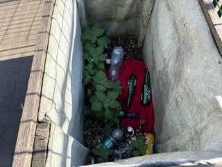Le condizioni del giardino di via Gubbio Le condizioni del giardino di via Gubbio
