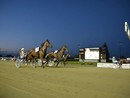 Doppio spettacolo all'Ippodromo di Vinovo: il 1° settembre, Gran Premio Marangoni open e Filly in notturna