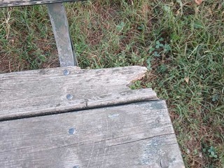 Le panchine ammalorate Le panchine ammalorate