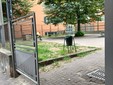 Le condizioni del giardino di via Gubbio Le condizioni del giardino di via Gubbio