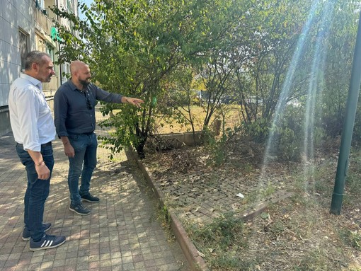 Case Atc di via Fratelli Garrone: pulizia, sgombero rifiuti e derattizzazione Case Atc di via Fratelli Garrone: pulizia, sgombero rifiuti e derattizzazione