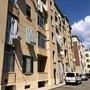 Blatte nei tombini e sulle facciate delle case: scatta la segnalazione all’Asl