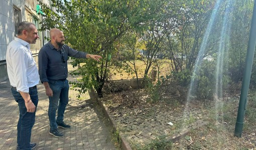 Case Atc di via Fratelli Garrone: pulizia, sgombero rifiuti e derattizzazione Case Atc di via Fratelli Garrone: pulizia, sgombero rifiuti e derattizzazione