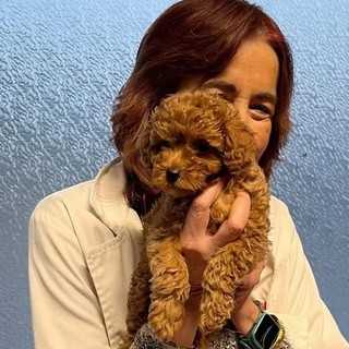 Animali protagonisti al salotto del sabato sera