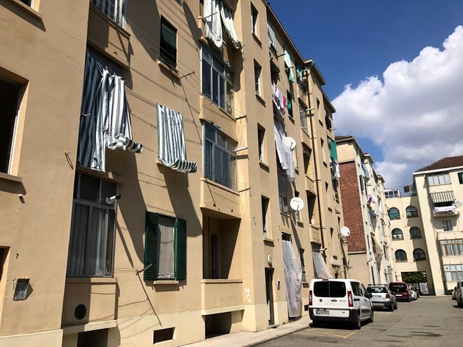 Blatte nei tombini e sulle facciate delle case: scatta la segnalazione all’Asl