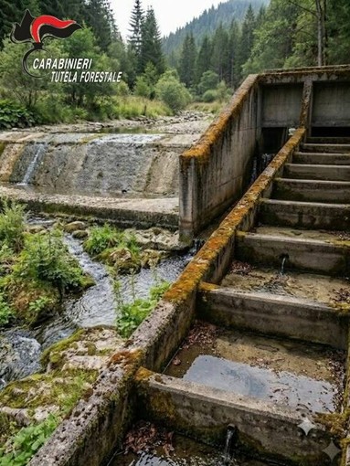 Siccità, a Venaria Reale sanzionata azienda per mancato rilascio dell'acqua nel torrente Ceronda Siccità, a Venaria Reale sanzionata azienda per mancato rilascio dell'acqua nel torrente Ceronda
