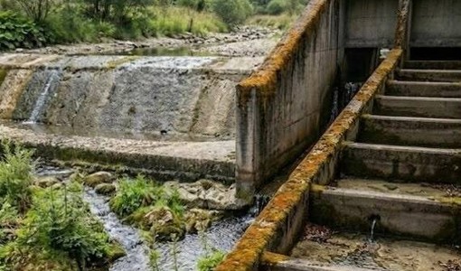 Siccità, a Venaria Reale sanzionata azienda per mancato rilascio dell'acqua nel torrente Ceronda Siccità, a Venaria Reale sanzionata azienda per mancato rilascio dell'acqua nel torrente Ceronda