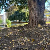 Il Giardino Sambuy ospita il Mercato Googreen e guarda a una nuova stagione tra luci, arte e filosofia