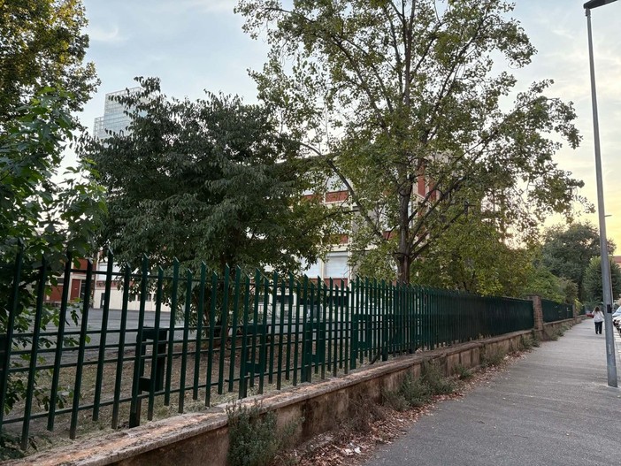Allarme zanzare nei cortili scolastici
