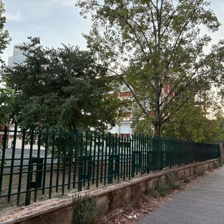 Allarme zanzare nei cortili scolastici