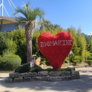 Cumiana: anche il romano Zoomarine entra nella famiglia di Zoom