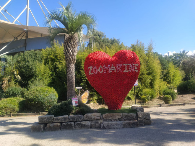 Cumiana: anche il romano Zoomarine entra nella famiglia di Zoom