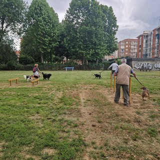 Inaugurata a Moncalieri la nuova area cani Dix Inaugurata a Moncalieri la nuova area cani Dix